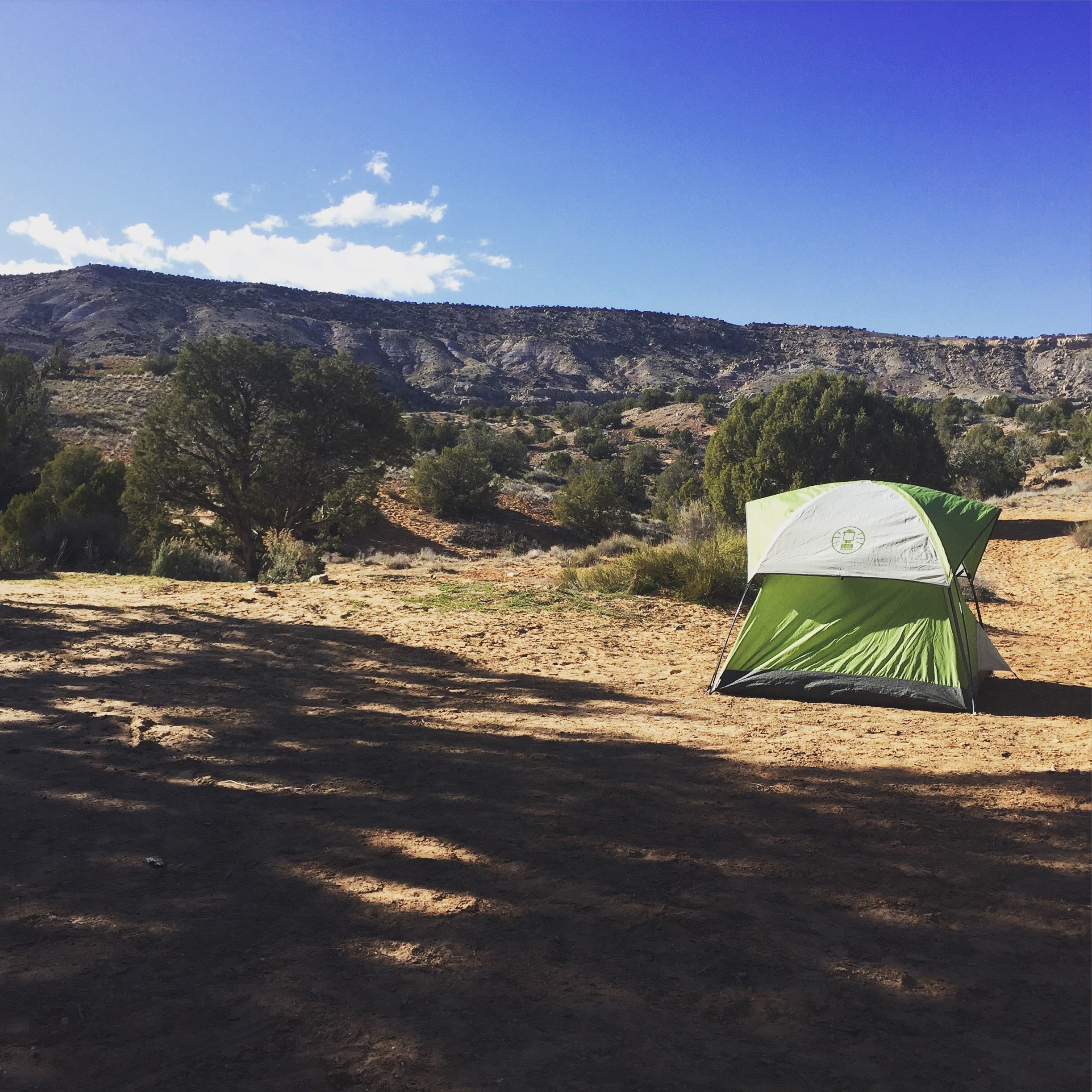 Camper submitted image from Rabbit Valley - 5