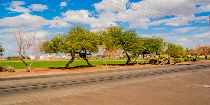 Camper submitted image from Garden Oasis RV Park