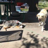 Review photo of La Junta - Wild Rivers Rec Area by Talon W., September 21, 2016