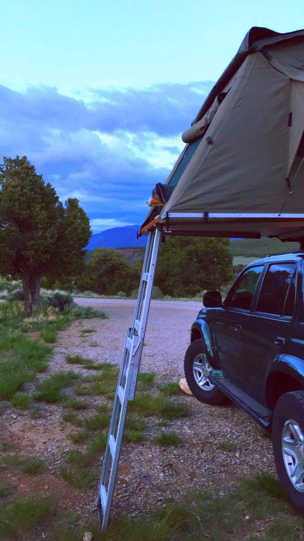 Camper submitted image from La Junta - Wild Rivers Rec Area - 2