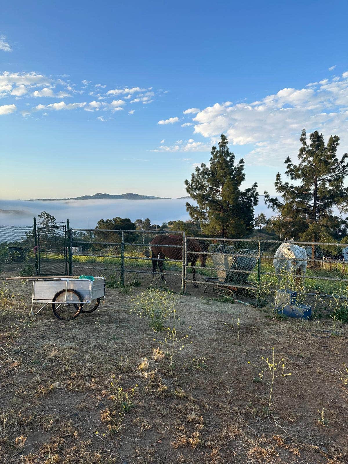 Camper submitted image from Highlander ranch - 1