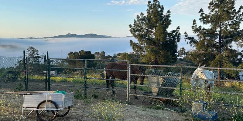 Camper submitted image from Highlander Ranch