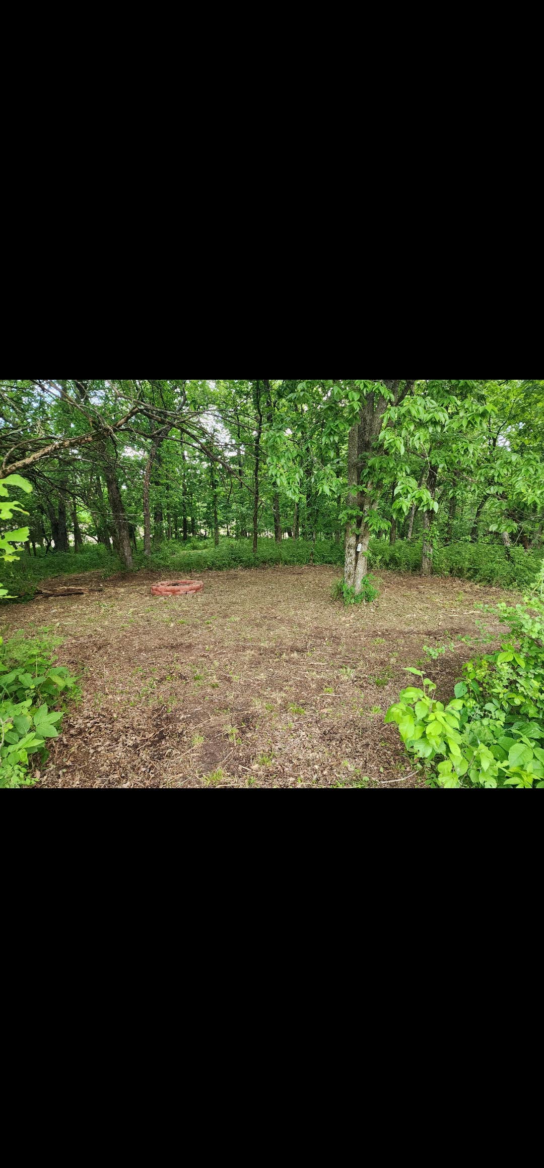 Camper-submitted photo at B&S CREEKSIDE RETREAT LLC near Urich, MO