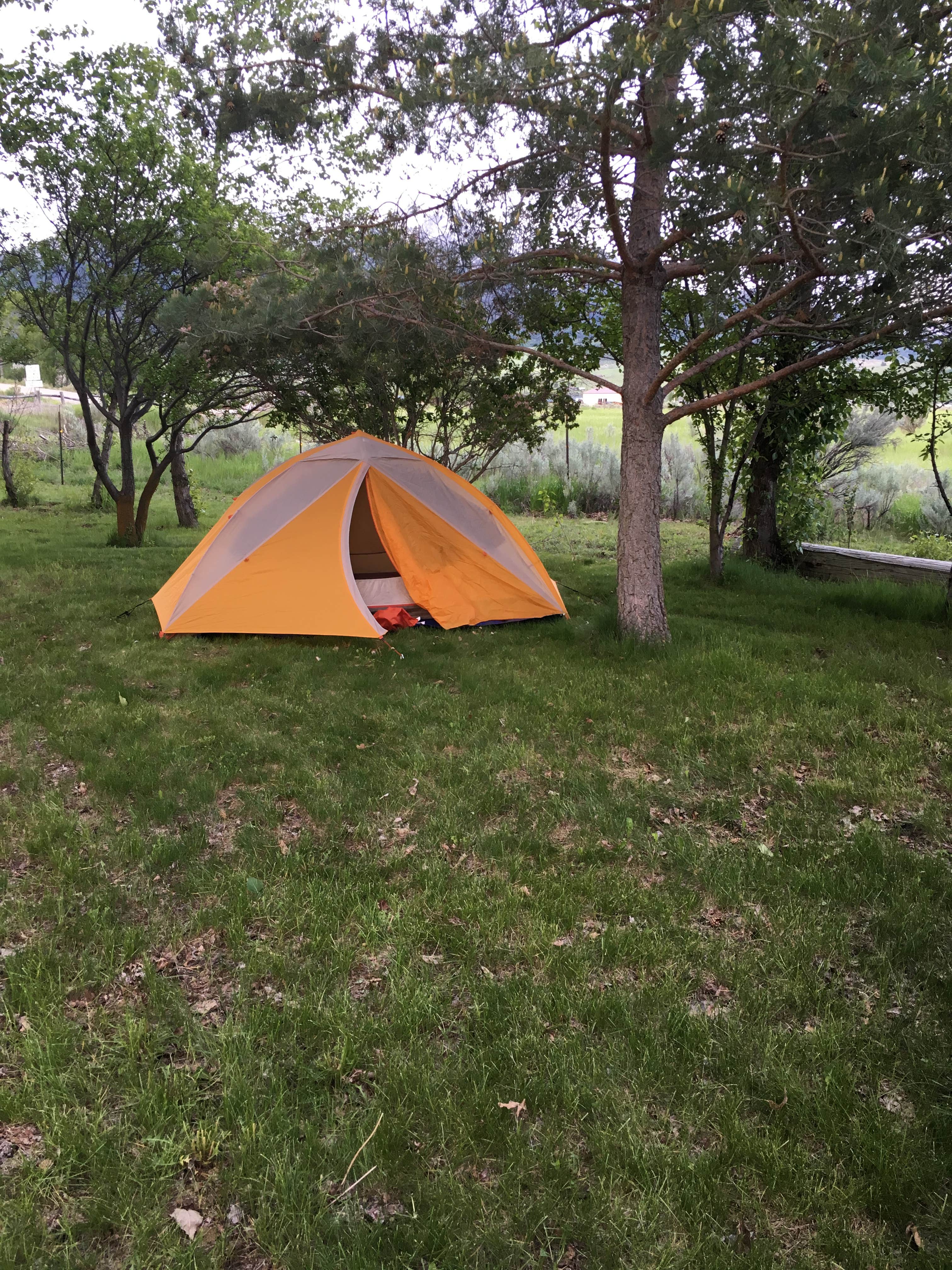 Annie C.'s photo at Hover Camp near Irwin, ID