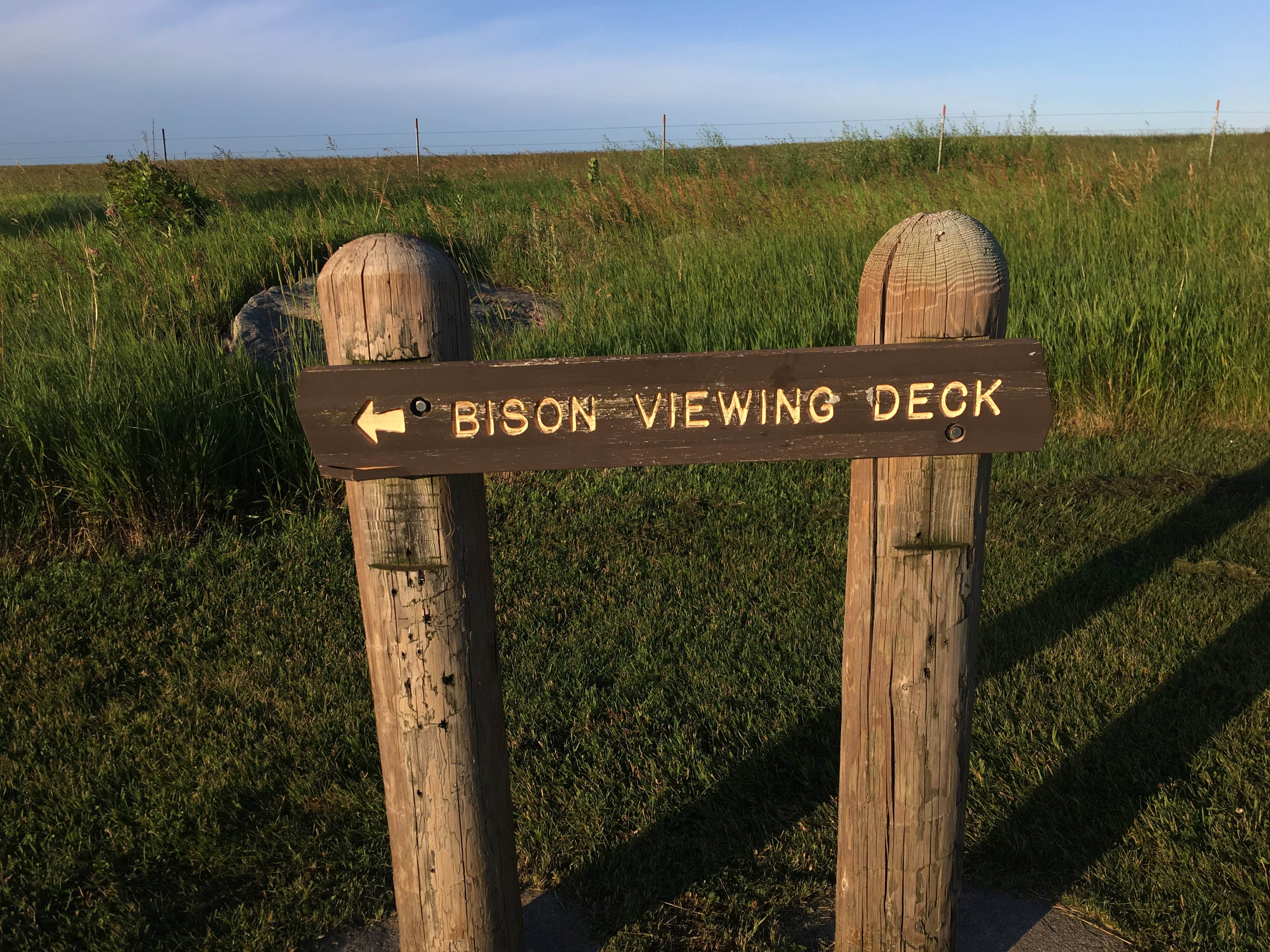 Camper submitted image from Blue Mounds State Park Campground - 5