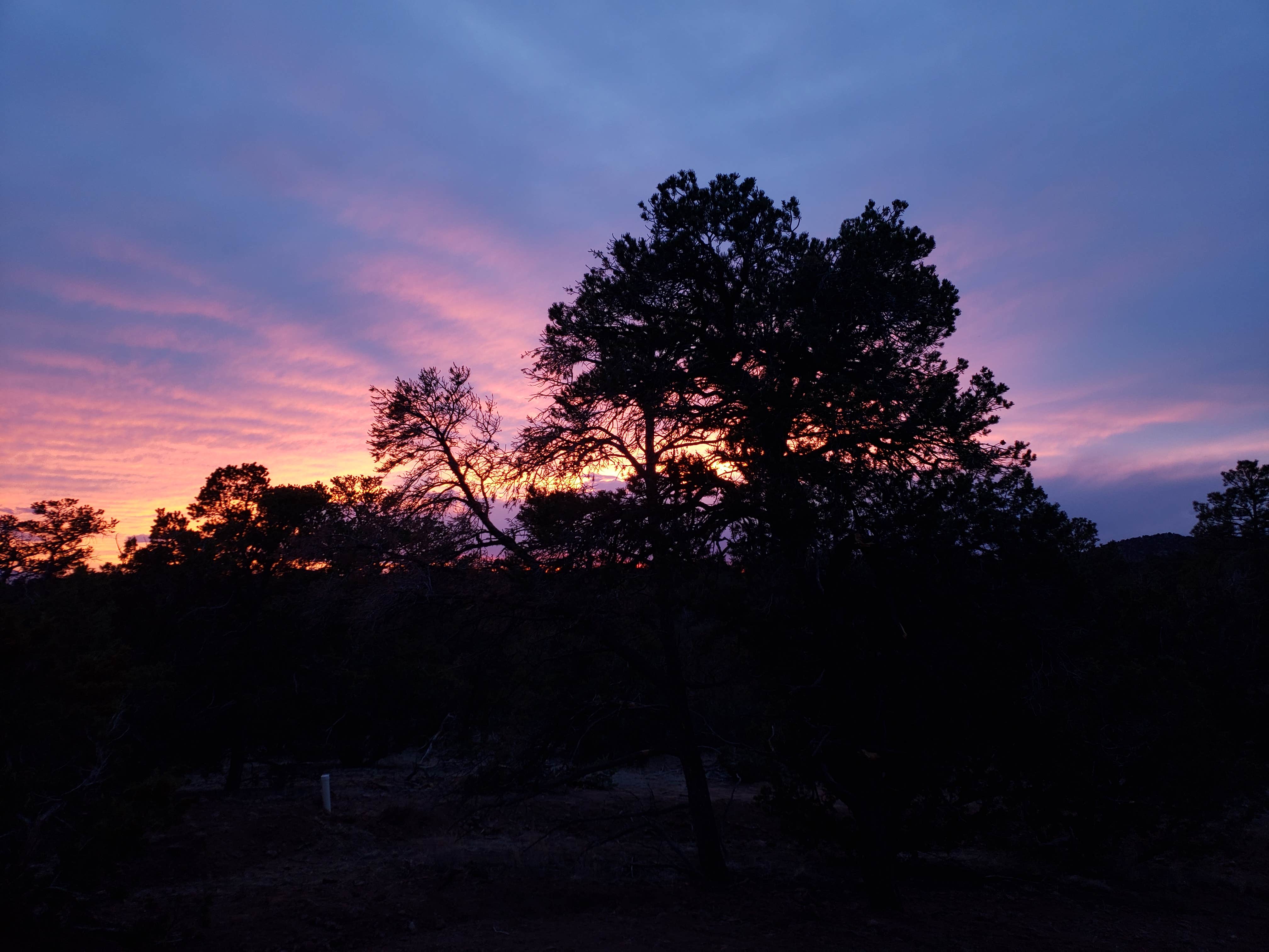 Camper submitted image from Santa Fe Ridgetop Oasis - 2