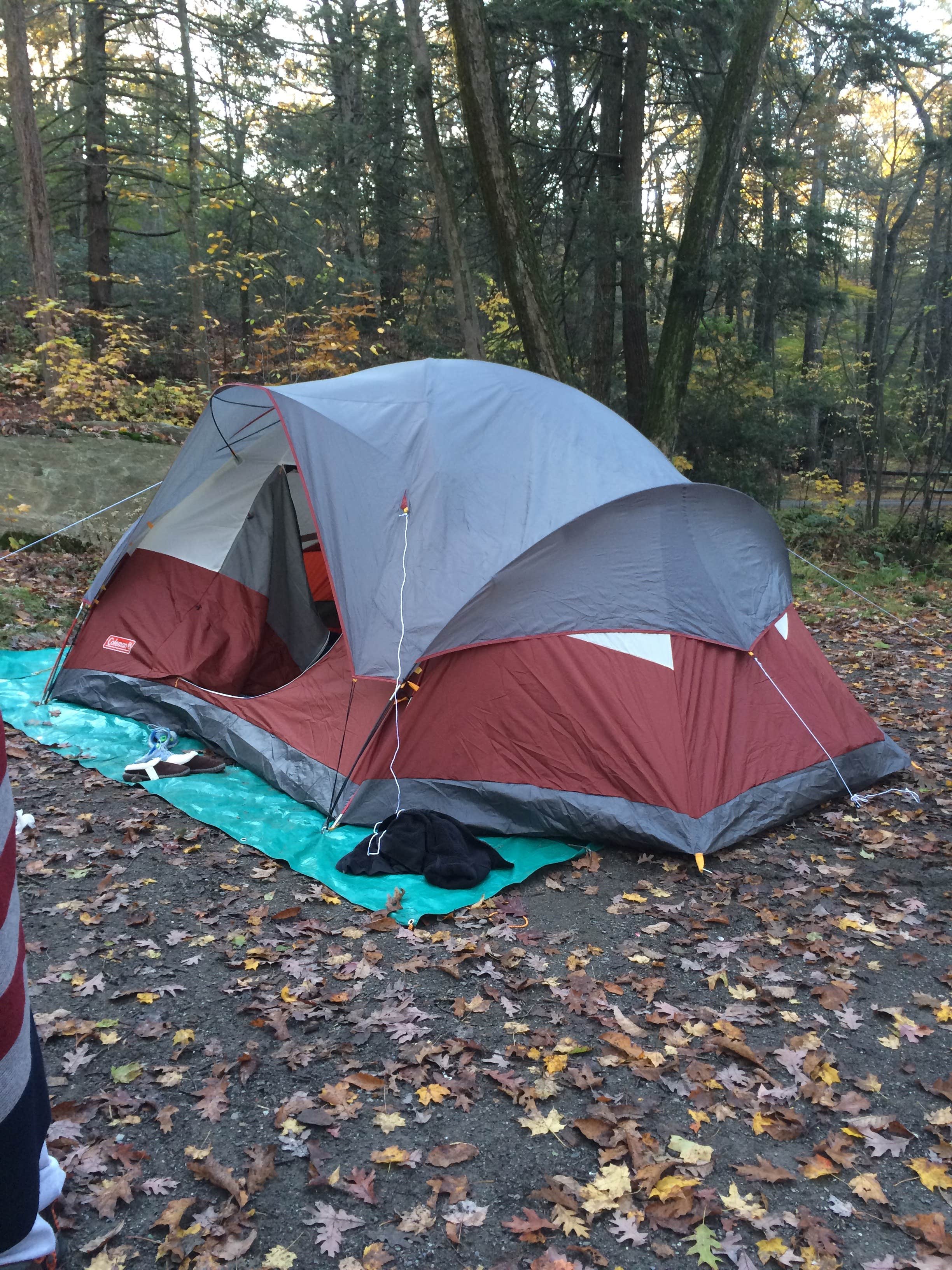 Asher K.'s photo at Clarence Fahnestock State Park Campground near Waccabuc, NY