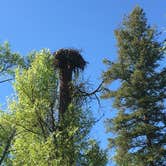 Review photo of Falls Campground by Annie C., July 26, 2019