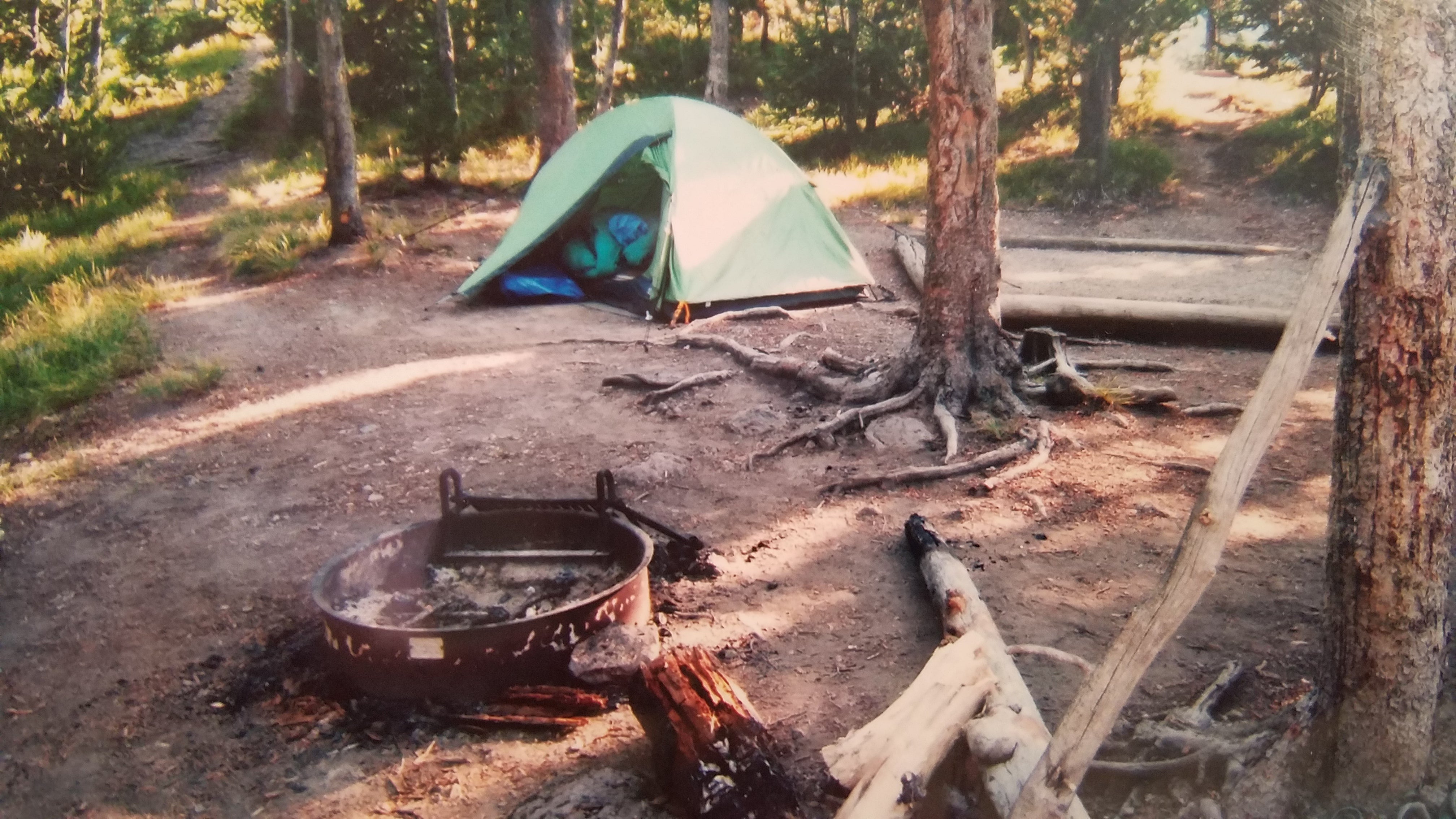 Camper submitted image from Canyon Campground — Yellowstone National Park - 1