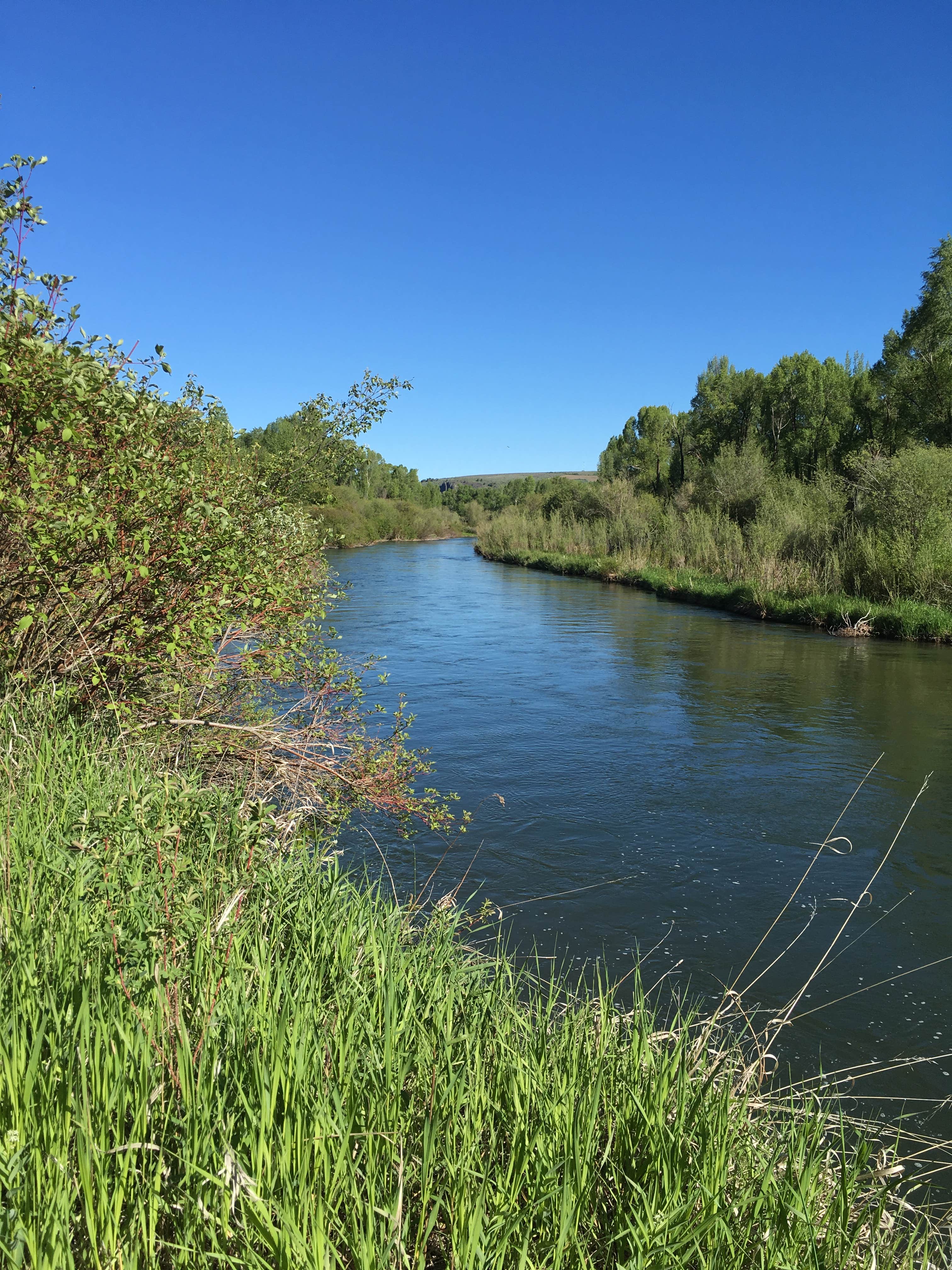 The very pretty river next to the campground
