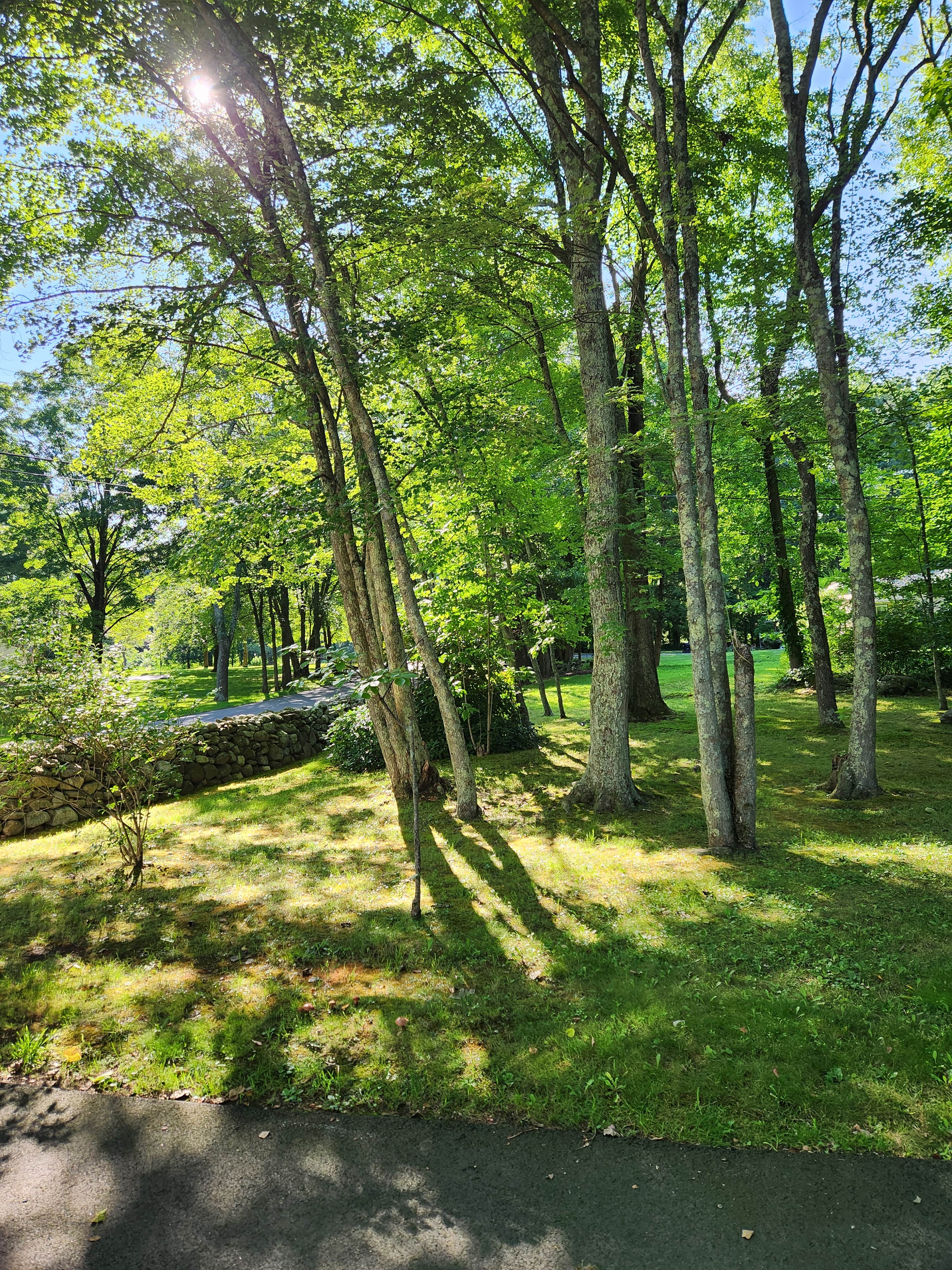 Camper-submitted photo at CRAIG'S place near Woodbridge, CT