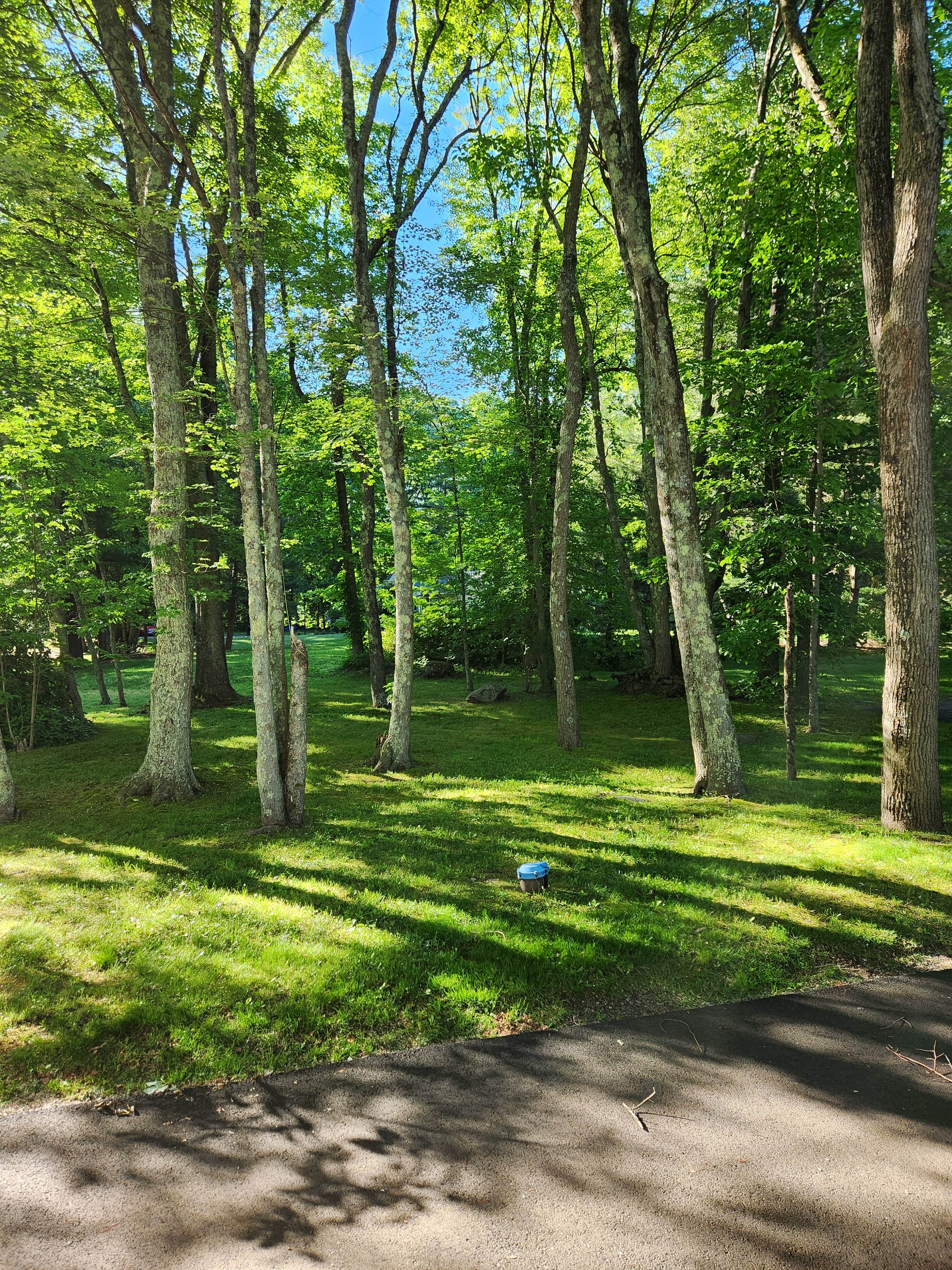 Camper-submitted photo at CRAIG'S place near Woodbridge, CT