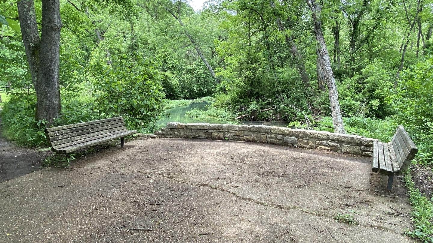 Camper submitted image from Mark Twain National Forest Lane Spring Recreation Area - 2