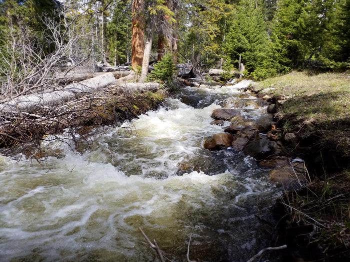 Camper submitted image from North Fork Campground (WY) - 1