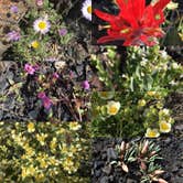Review photo of Lava Flow Campground — Craters of the Moon National Monument by Annie C., July 26, 2019
