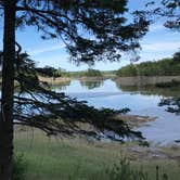 Review photo of Cobscook Bay State Park by Dan R., January 27, 2019