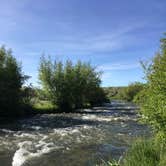 Review photo of Silver Creek Public Access Dispersed by Annie C., July 26, 2019