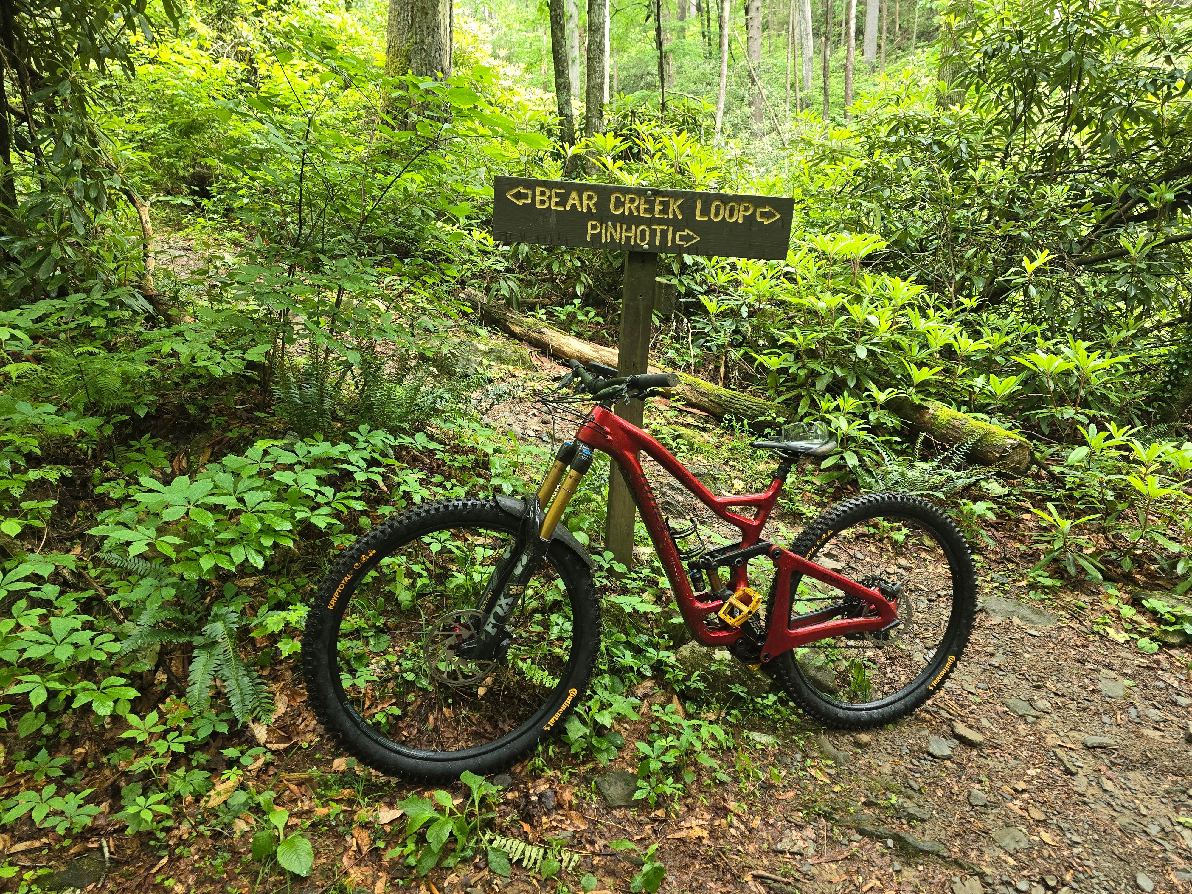 Camper submitted image from Mulberry Gap Adventure Basecamp - 3