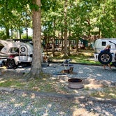 Review photo of Americamps RV Resort by Steve V., July 26, 2019