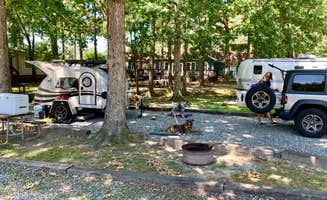 Steve V.'s photo at Americamps RV Resort near Ashland, VA