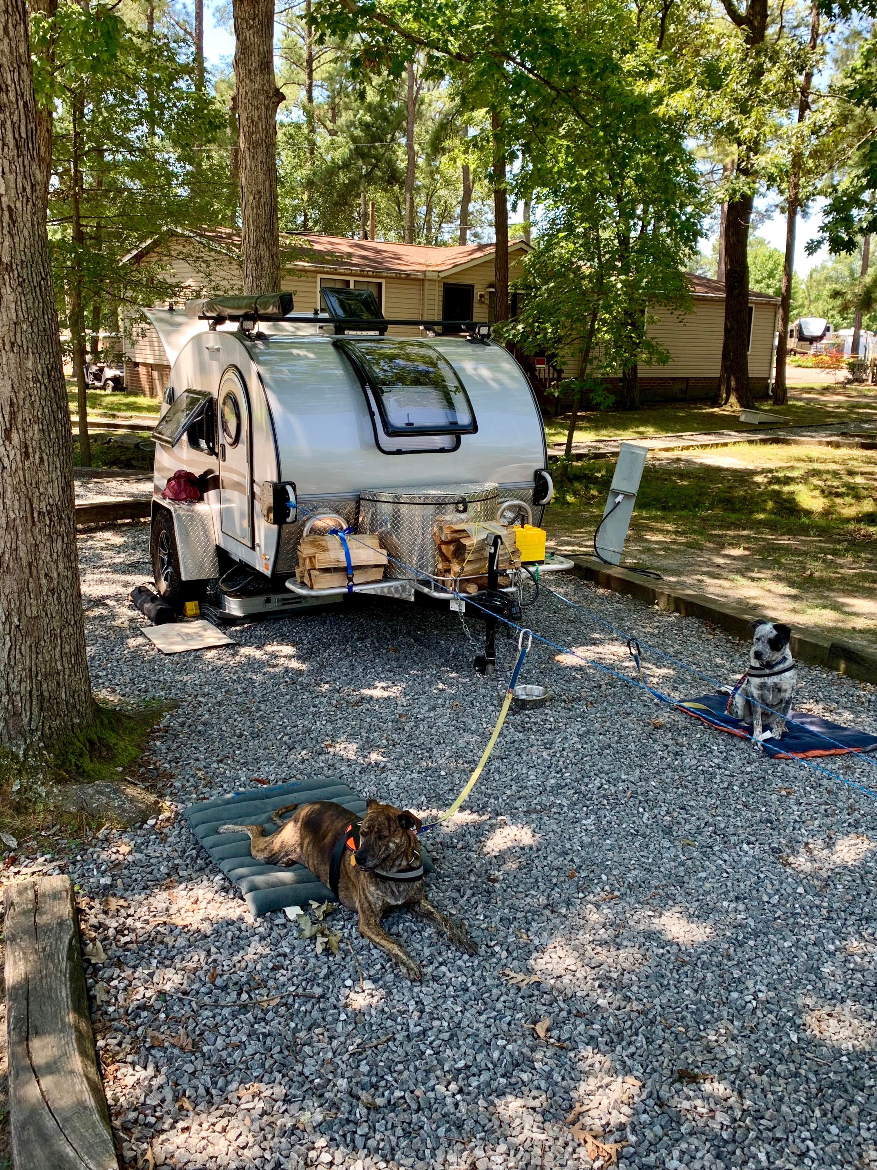 Steve V.'s photo of camping with pets at Americamps RV Resort near Doswell, VA