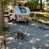 Review photo of Americamps RV Resort by Steve V., July 26, 2019