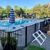 Review photo of Americamps RV Resort by Steve V., July 26, 2019