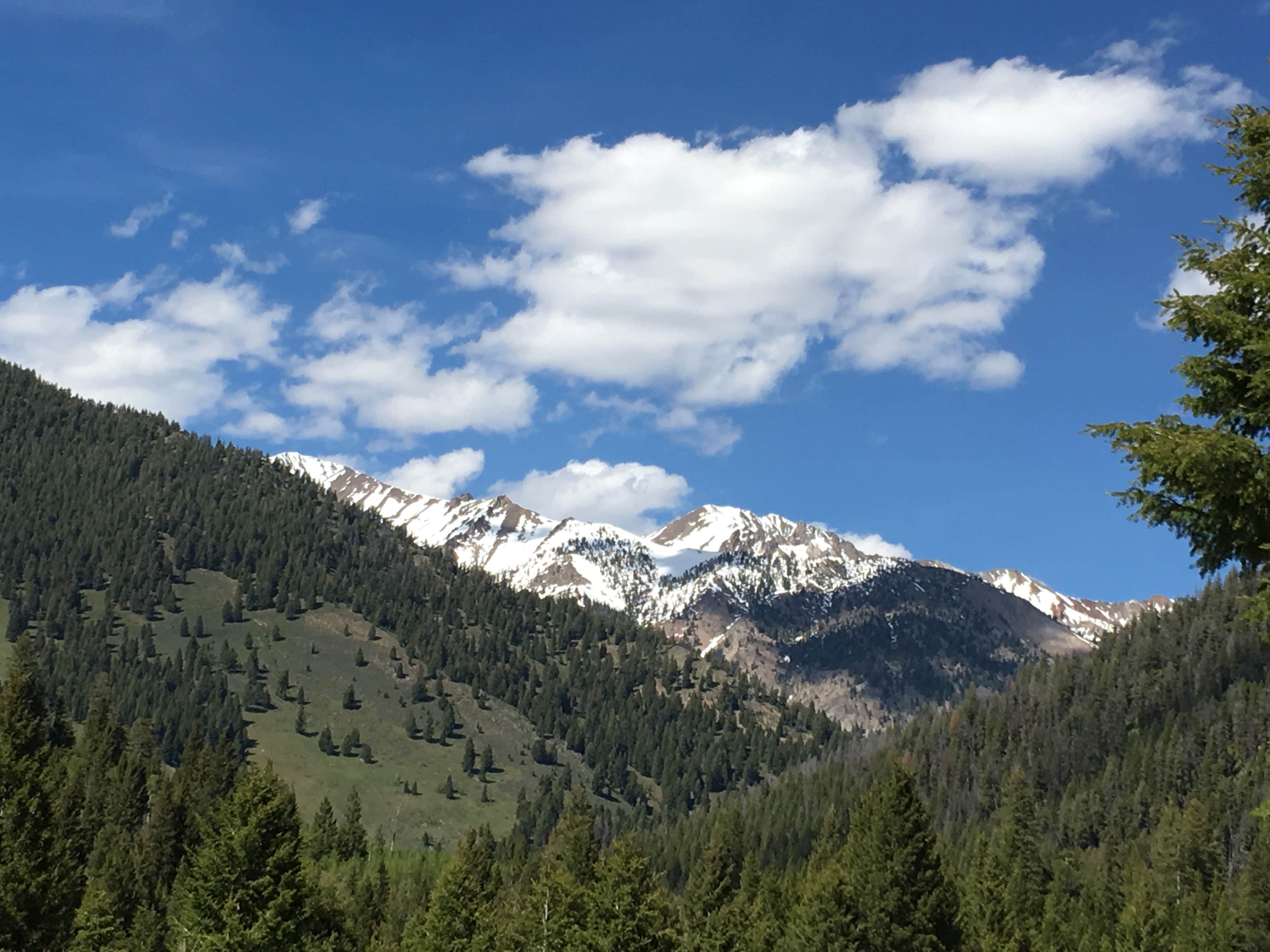 Nature