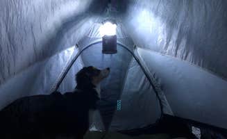 kacie Z.'s photo of camping with pets at Mackerricher State Park Campground near Covelo, CA