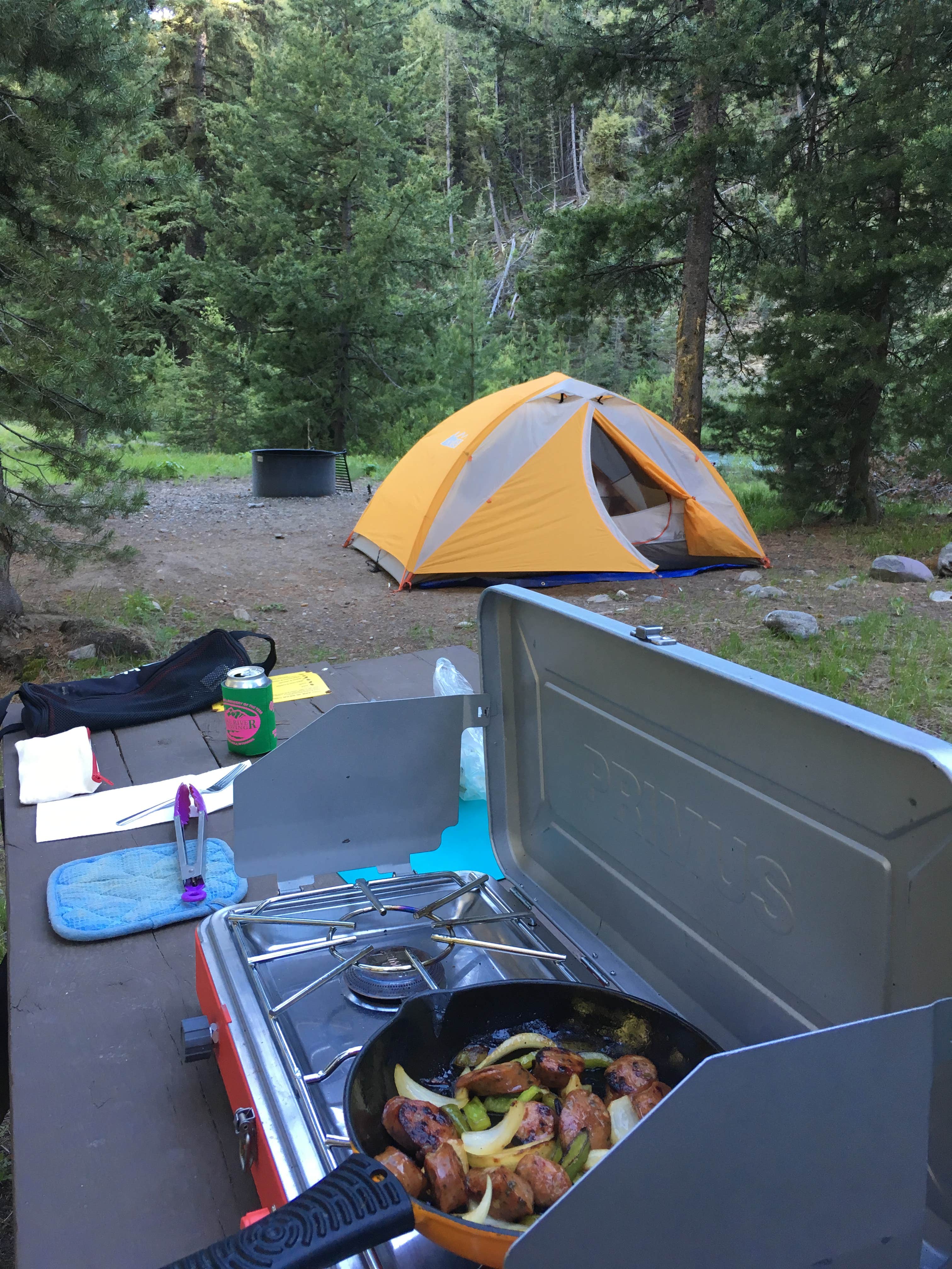 Annie C.'s photo at Caribou Campground near Ketchum, ID