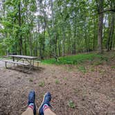 Review photo of Red Top Mountain State Park Campground by Art Z., June 5, 2025
