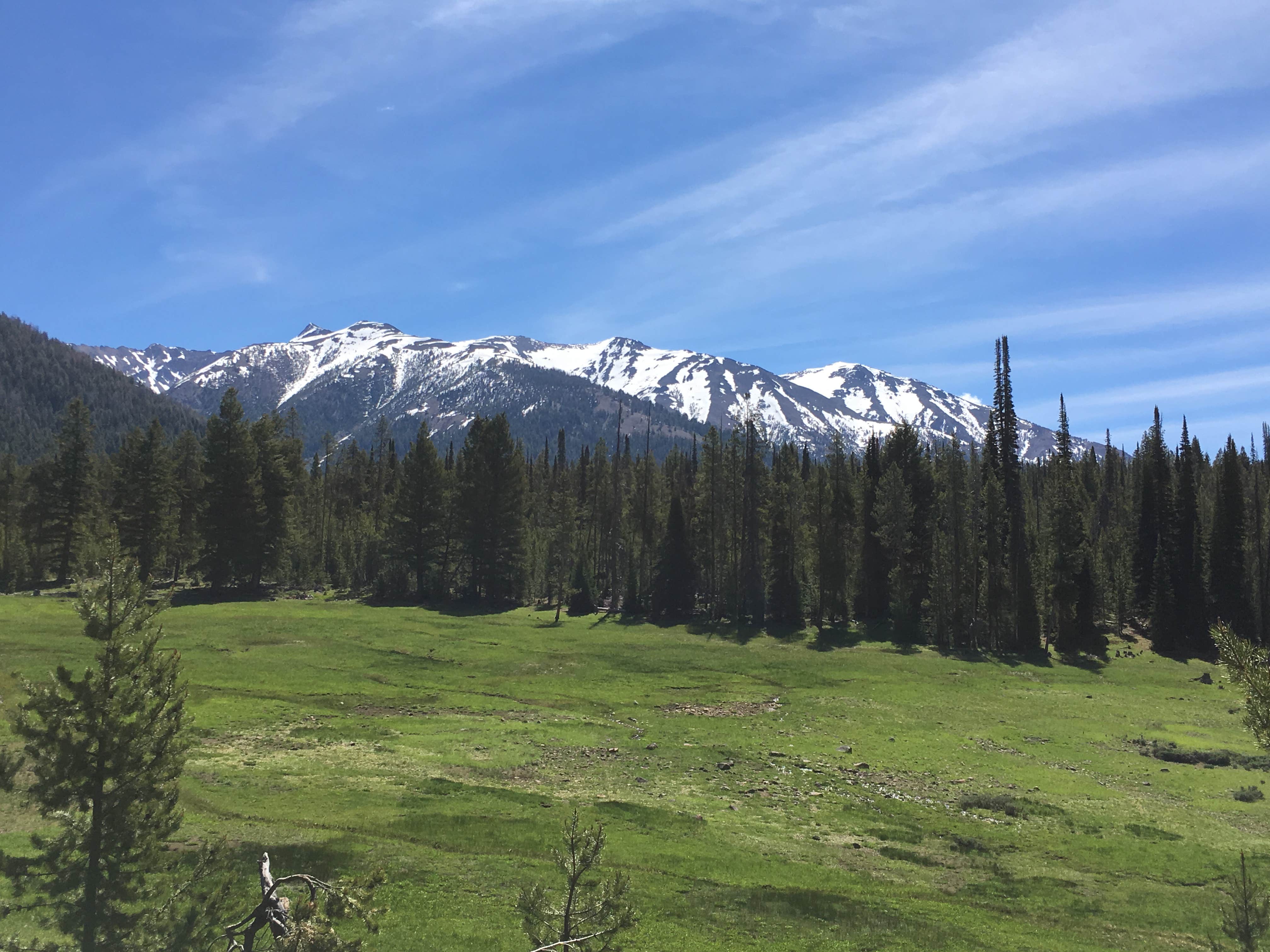 Camper submitted image from Chemeketan Campground - 4