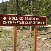 Review photo of Chemeketan Campground by Annie C., July 26, 2019