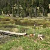 Review photo of Chemeketan Campground by Annie C., July 26, 2019