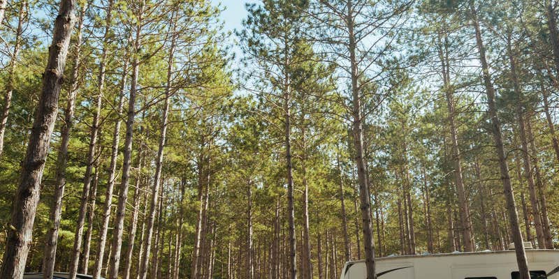 Camper submitted image from Leelanau Pines Campground