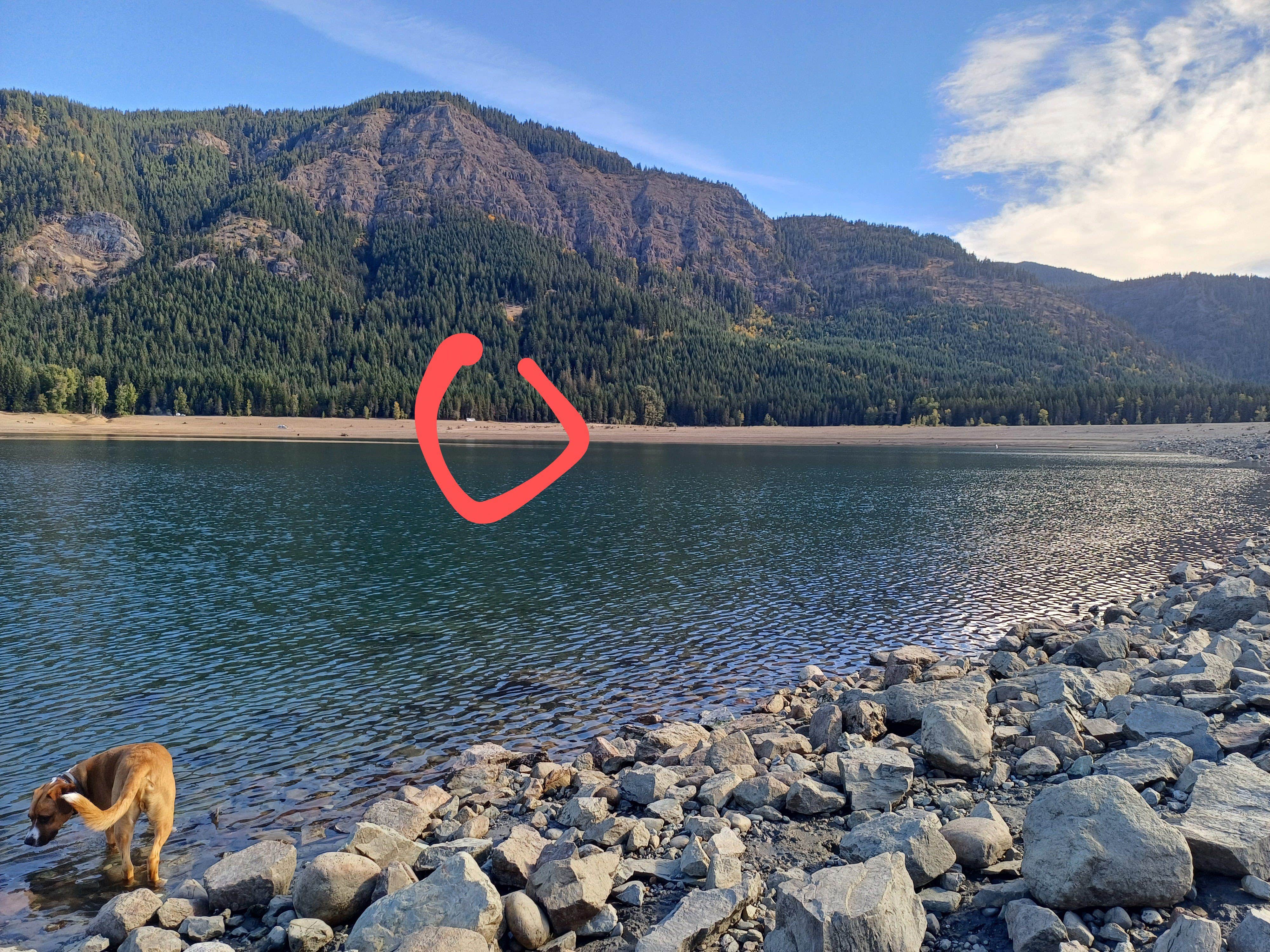 Laura M.'s photo of a dispersed camping area at Kachess Lake Lakebed near Startup, WA