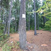 Review photo of Kachess Lake Lakebed by Laura M., June 5, 2025