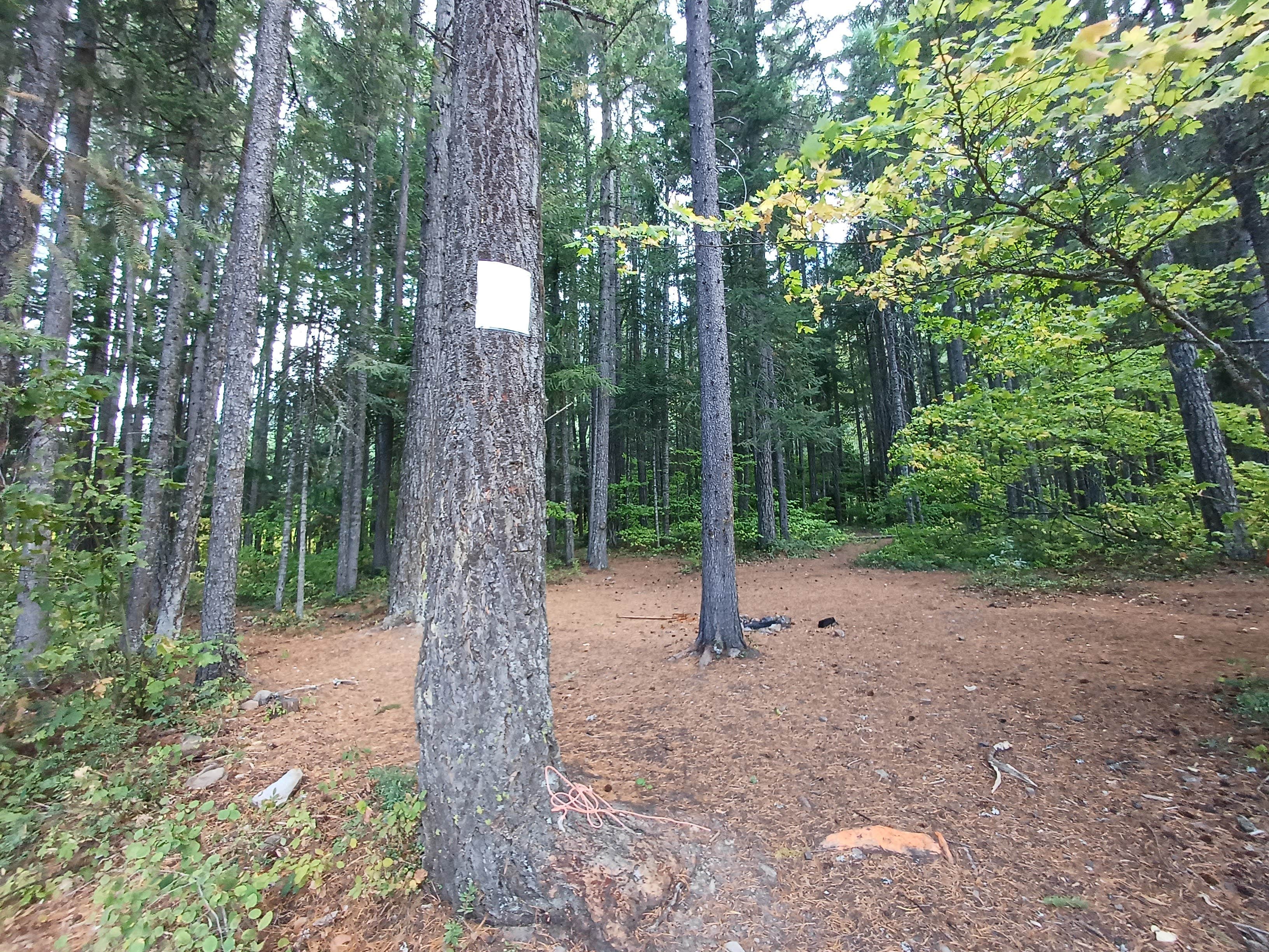 Camper submitted image from Kachess Lake Lakebed - 2