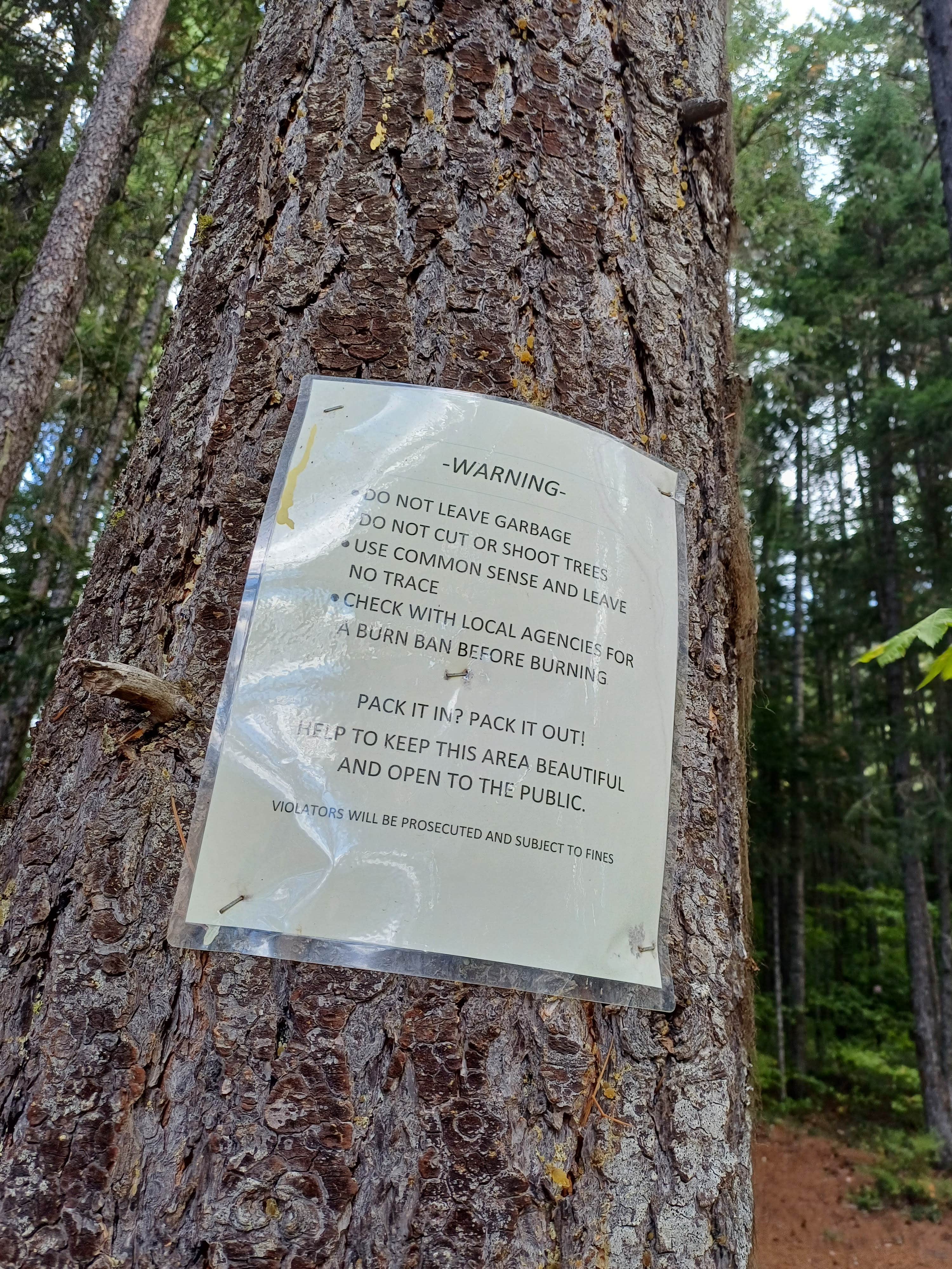 Camper-submitted photo at Kachess Lake Lakebed near Cle Elum, WA