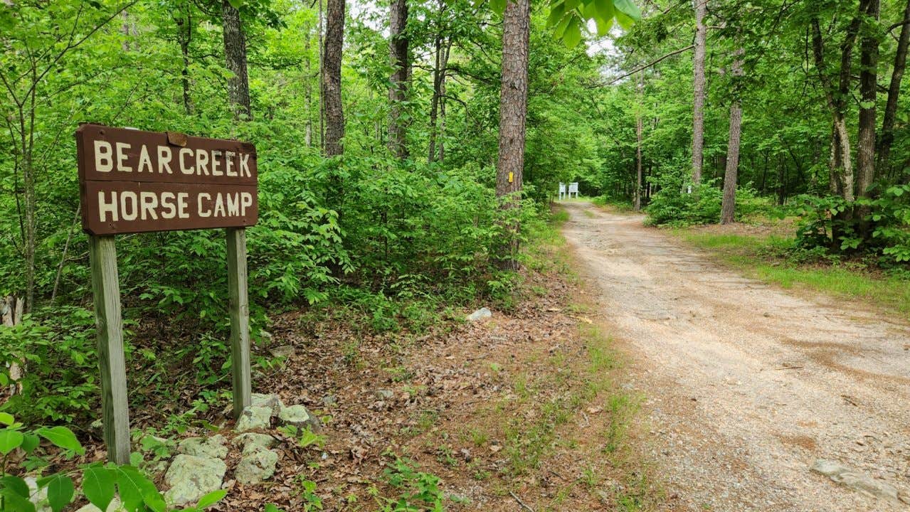 Camper submitted image from Bear Creek Horse Camp - 4