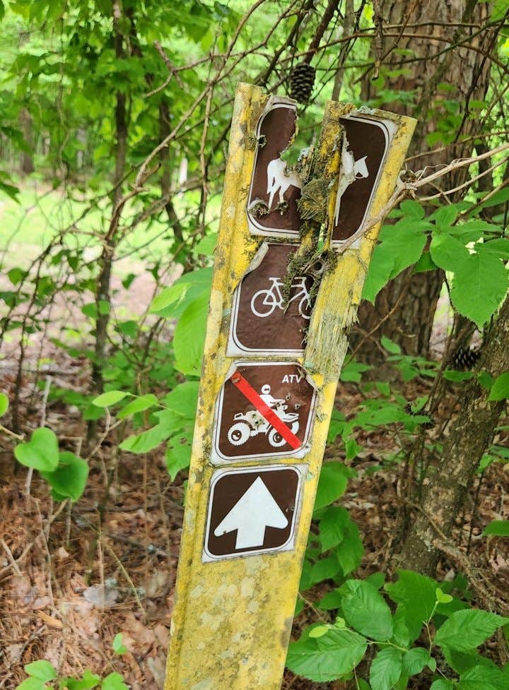 Camper-submitted photo at Bear Creek Horse Camp near Royal, AR