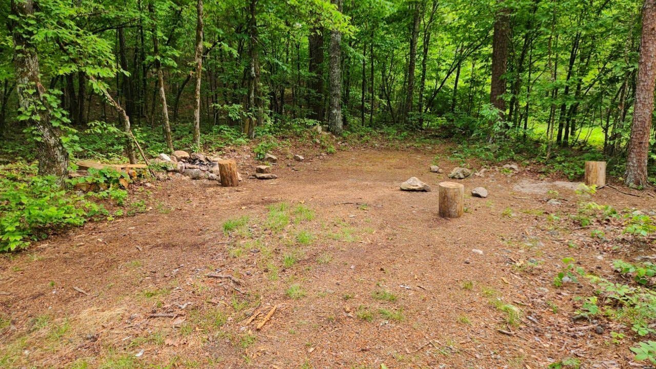 Camper submitted image from Bear Creek Horse Camp - 3