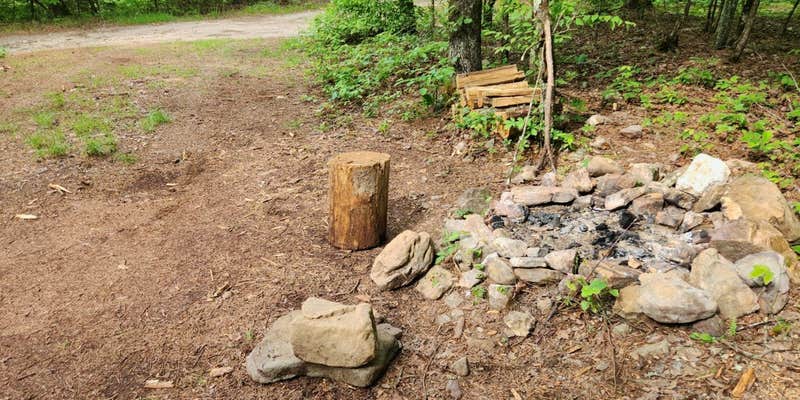 Camper submitted image from Bear Creek Horse Camp