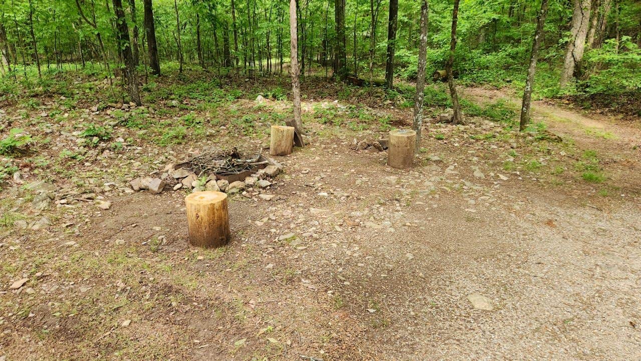 Camper submitted image from Bear Creek Horse Camp - 2