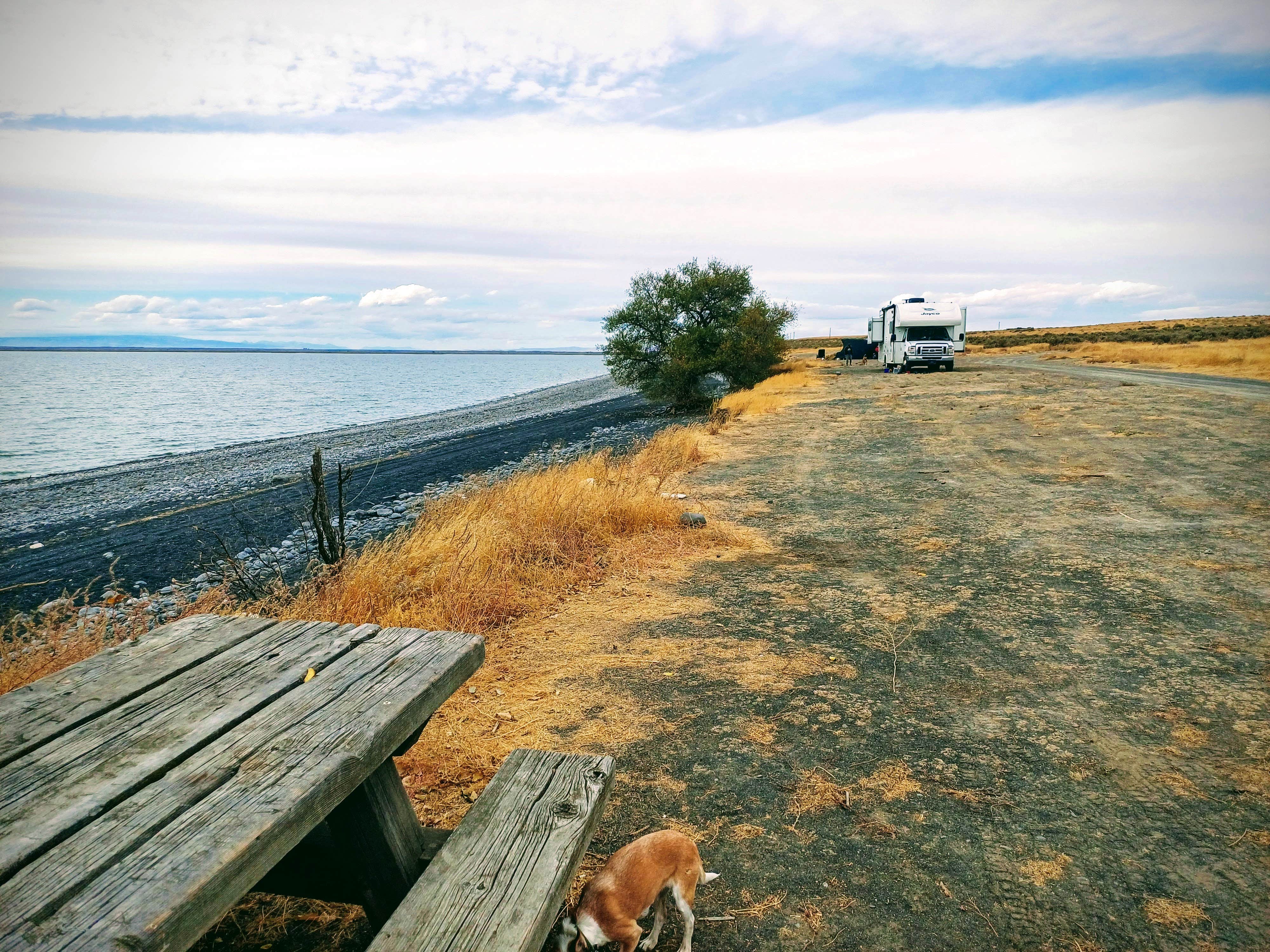 Laura M.'s photo of a dispersed camping area at Perch Point Wild Camping Area near Vantage, WA