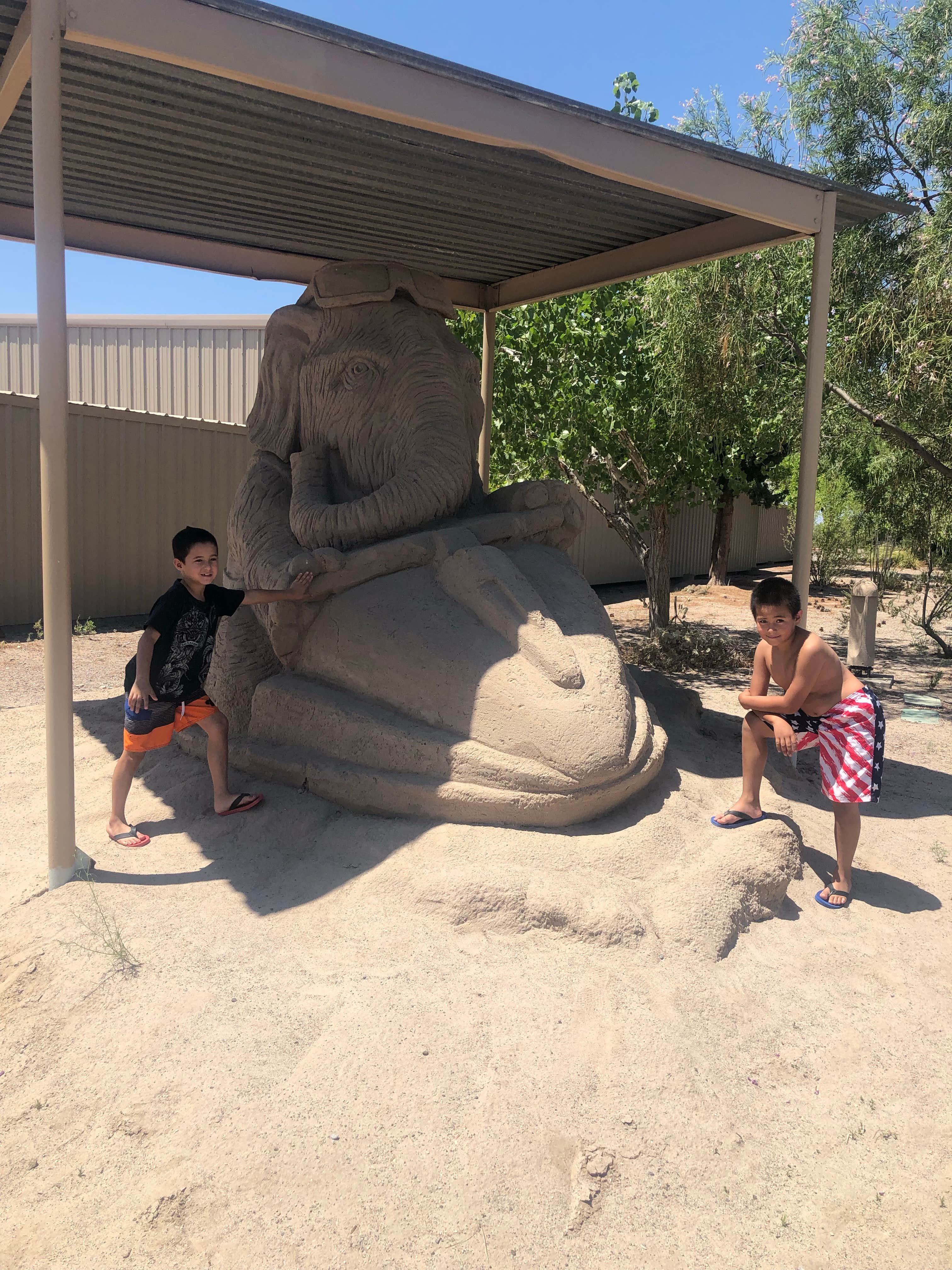 Camper submitted image from Elephant Butte Lake RV Resort - 4