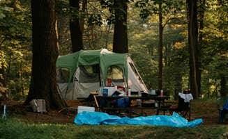 Northgate R.'s photo at Kittatinny Campground near Unionville, NY