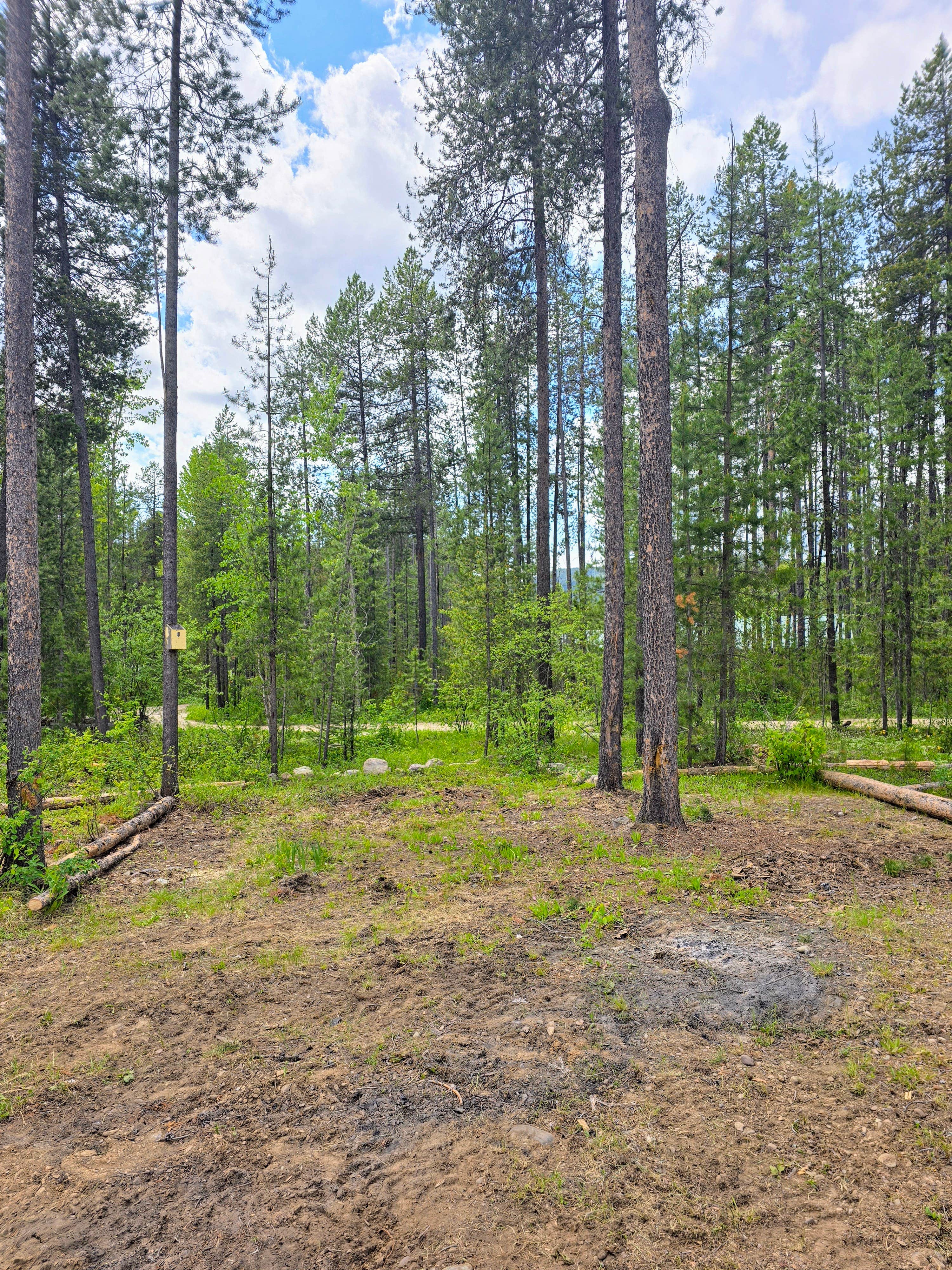 Camping near North American RV Park & Yurt Village: Glacier Lodge Campground, Coram, Montana