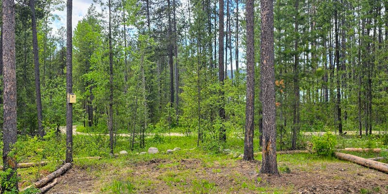 Camper submitted image from Glacier Lodge Campground