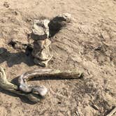 Review photo of Elephant Butte Lake RV Resort by Amber N., July 26, 2019